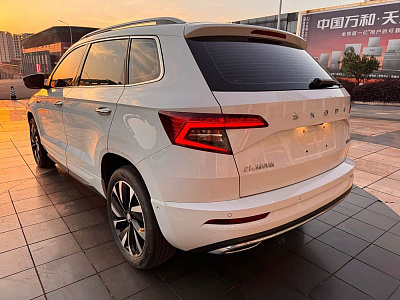Skoda Karoq 1.4 л 2023 г. Белый, пробег 19900 км