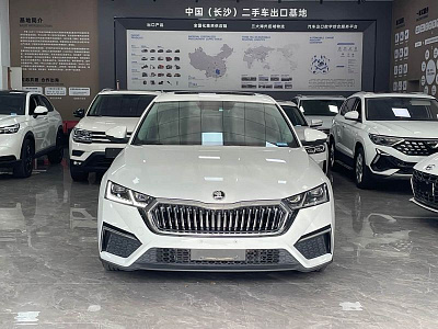 Skoda Octavia 1.4 л 2023 г. Белый, пробег 5300 км