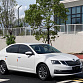 Skoda Octavia 1.5 л 2022 г. Белый, пробег 49000 км
