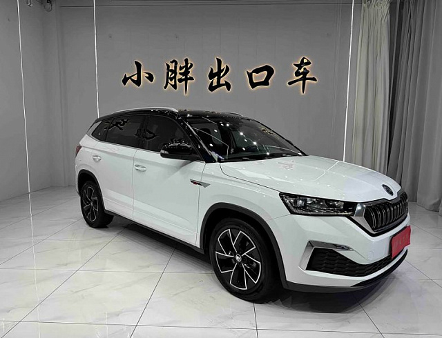Skoda Kamiq 1.5 л 2023 г. Белый, пробег 44300 км