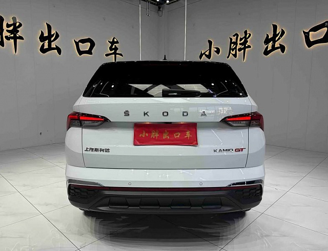 Skoda Kamiq 1.5 л 2023 г. Белый, пробег 44300 км