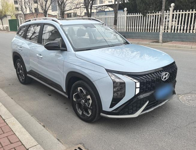 Hyundai Mufasa 2.0L