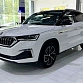Skoda Kamiq 1.5 л 2023 г. Белый, пробег 41000 км