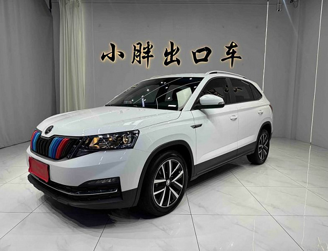 Skoda Kamiq 1.5 л 2023 г. Белый, пробег 31800 км