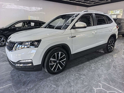 Skoda Kamiq 1.5 л 2023 г. Белый, пробег 25000 км