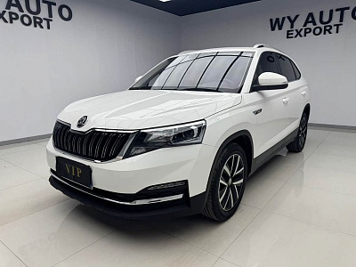 Skoda Kamiq 1.5 л 2021 г. Белый, пробег 32000 км